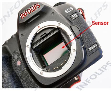 Sensor camera buying guide